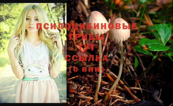 СК Алзамай