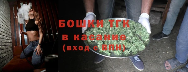 ГАЛЛЮЦИНОГЕННЫЕ ГРИБЫ Аркадак
