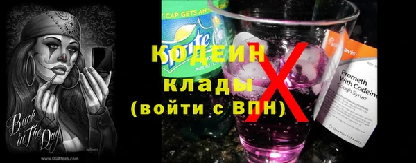 ГАЛЛЮЦИНОГЕННЫЕ ГРИБЫ Аркадак