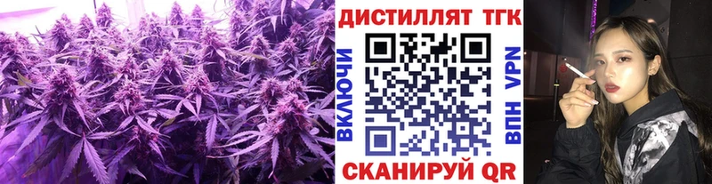 ТГК Wax Динская